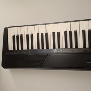 4339.jpg